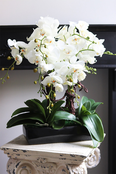 Czarna Elegancja, sztuczny storczyk w podłużnej doniczce