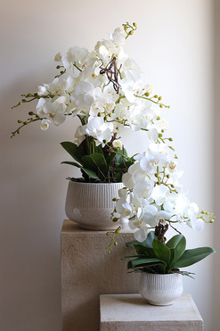 OD RĘKI Biel Mineni 2, stylowy storczyk w doniczce ze wzorem, wys.47cm