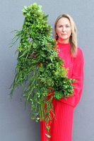 Longia Suculentas Steel, sukulenty w stalowej donicy