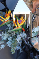 Angelo Garden Black Strelizia, lampion nagrobny z kwiatami