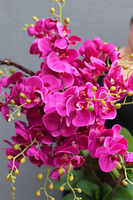 Gizelle Fuksja, wysoki sztuczny storczyk w białej donicy, wys.135cm