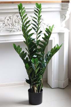 Zamiokulkas Natural, wysokiej jakości sztuczna roślina, wys.110cm