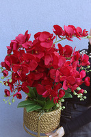 Miłość 3, karminowy sztuczny storczyk