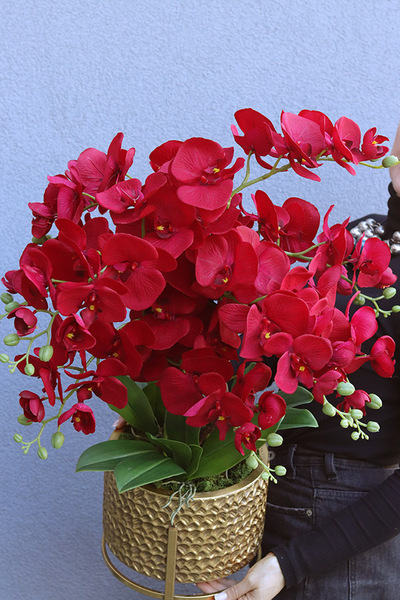 Miłość 3, karminowy sztuczny storczyk