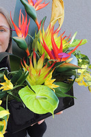 Ethiopia, egzotyczna kompozycja w donicy