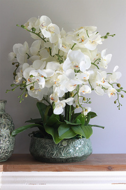 Nedila Wide, sztuczny storczyk w zielonej osłonce, wys.55cm 