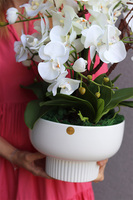 Japandi Orchid 4, sztuczny storczyk w ceramicznym pucharze