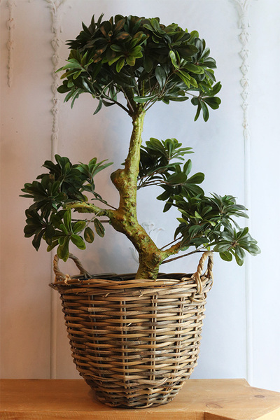 Bonsai Azalia Rattania, sztuczna roślina w donicy