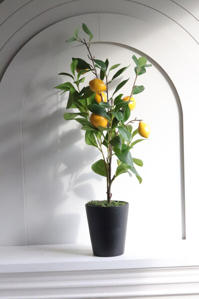 Sicilia Lemon, sztuczne drzewko cytrynowe