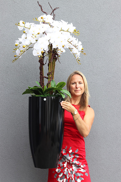 duży storczyk Black Fiberglass Grande 2 w czarnej donicy