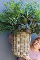 Bahama Green, kompozycja z ziołami w koszu