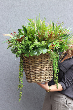 Retresta Basket, kompozycja z ziołami w koszu, wym.70x75cm