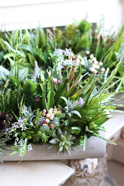 kompozycja sukulenty w długiej donicy, Hektor Modenato