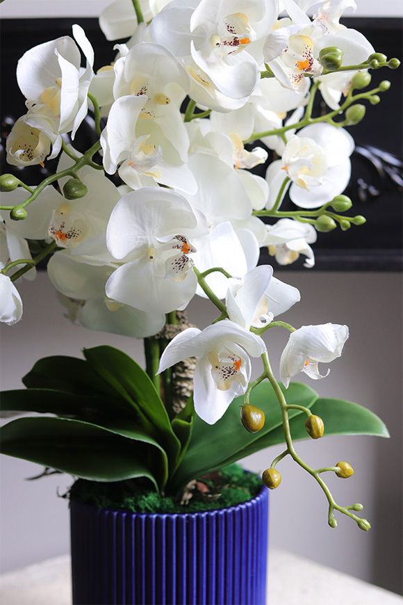 Blue Curena, sztuczny storczyk w niebieskiej doniczce