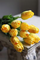  Yellow Spring, bukiet tulipanów satynowych