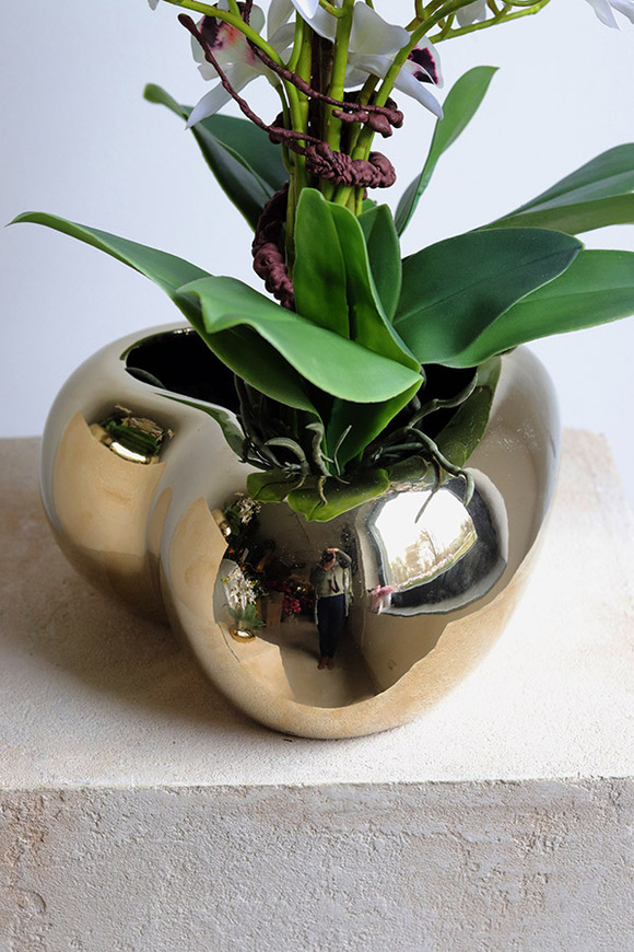 Orchid Heart, gumowy storczyk w złotej misie