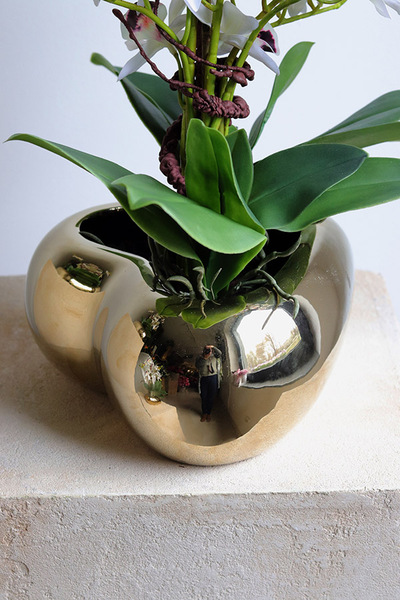 Orchid Heart, gumowy storczyk w złotej misie