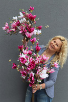 bukiet różowych kwiatów, Magnolie Moko S, dł.60cm