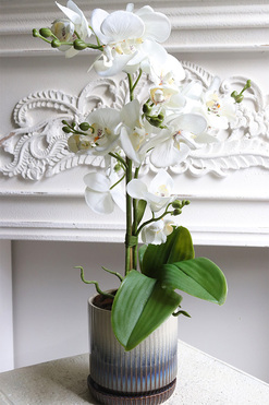 Naturena, wysokiej jakości sztuczny storczyk, wys.52cm 