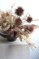 Boho Beige Modern, kompozycja z suszu w naczyniu