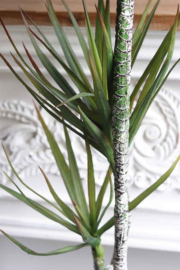 Dracena, wysokiej jakości sztuczna roślina