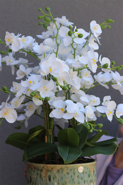 Helite Ocean, gumowy storczyk w turkusowej osłonce