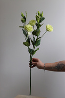 Eustoma Green, gałązka sztucznej eustomy, 1szt. dł.75cm