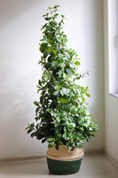 New Green Basket, drzewko sztuczne kolumnowe w donicy