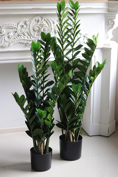 Zamiokulkas Natural, wysokiej jakości sztuczna roślina