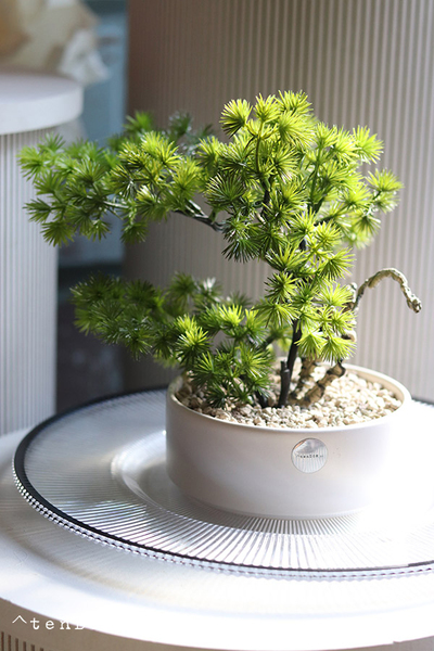 Bonsai Hikari 2, sztuczne drzewko w ceramicznej misie