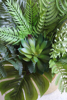 Złote Figaro, sukulenty w ozdobnej donicy