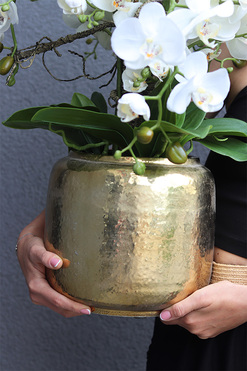 Gold Palazzia Small, sztuczny storczyk w złotej donicy, wys.70cm