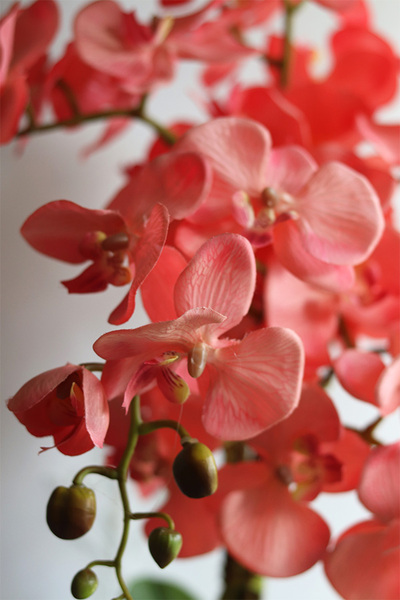 Coralovy Hilton, wysokiej jakości sztuczny storczyk, wys.67cm