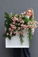 Alice Hotels Cherry, jednostronna rama dekoracyjna