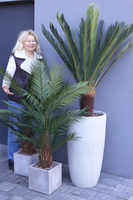 Palma Concrete Cube, sztuczna roślina w betonowej donicy