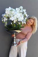 Cooleria Palace, storczyk w pucharze