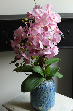 Pink Ocearo, różowy storczyk w niebieskim wazonie, wys.60cm 