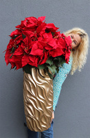 Gwiazda Betlejemska Nimfa, wysokiej jakości sztuczna roślina, wys.100cm