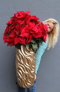 Gwiazda Betlejemska Nimfa, wysokiej jakości sztuczna roślina, wys.100cm