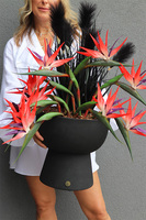 Strelicja Black Grass, nowoczesna kompozycja w pucharze