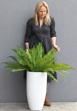 Zielony Dom Fern, paproć w donicy fiberglass, wys.110cm