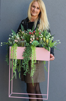 Pink Lady Modern, sukulenty w donicy na stojaku, wys.93x88x30cm