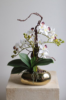 Orchid Heart, gumowy storczyk w złotej misie