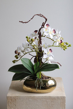 Orchid Heart 2, gumowy storczyk w złotej misie, wys.37cm