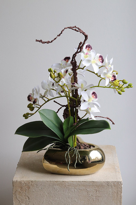 Orchid Heart, gumowy storczyk w złotej misie