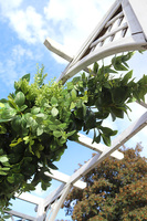 efektowna zielona girlanda, Green Garland, dł.350cm