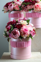 Julia 2, różowy flowerbox