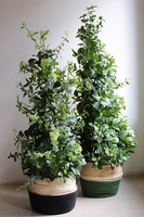 New Green Basket, drzewko sztuczne kolumnowe w donicy