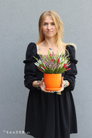 Wrzosy Pomerania, jesienna kompozycja z wrzosów