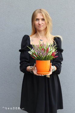 Wrzosy Pomerania, jesienna kompozycja z wrzosów, wys.28cm